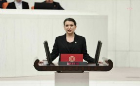 Gökçen'den ÇEDES projesi için soru önergesi: Planın detayları nelerdir?