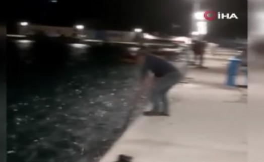 Yunanistan’da binlerce balık kıyıya vurdu