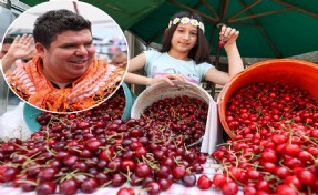 Buca’nın Kiraz Festivali’ne geri sayım başladı