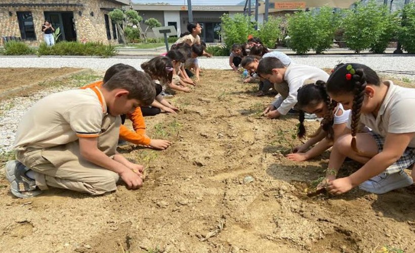 Efes Selçuk'ta çocuklar fideleri toprakla buluşturdu