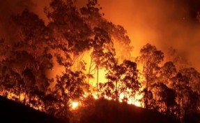Orman fakültesinden yangın uyarısı