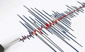 Erzurum Aşkale'de korkutan deprem!