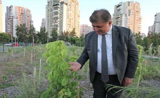 Tugay: Yerel tohumları koruyor ve toprakla buluşturuyoruz