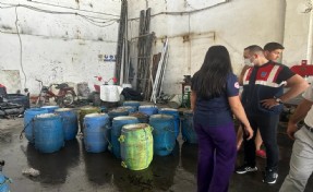 Yasadışı yollarla avlanan deniz patlıcanları denize salındı