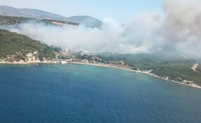 Aliağa'daki yangında 4 ev hasar gördü, 1'i tamamen yandı