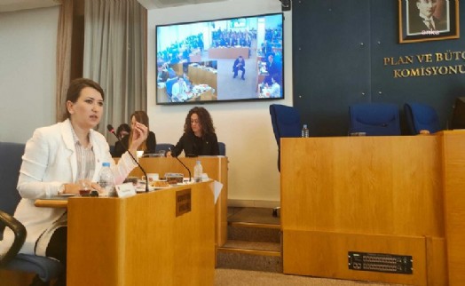 CHP'li Gökçen: Ek bütçe kanun teklifi anayasaya aykırı