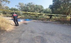 İzmir'de eski koca dehşeti: Önce öldürdü sonra intihar etti