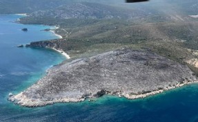 İzmir'de makilik alanda çıkan yangın kontrol altında