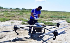 İzmir’de sivrisinek ile dronlu mücadele