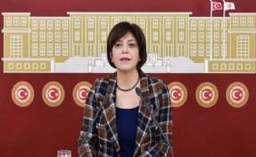 Meral Danış Beştaş: Başarısız olduk ama yenilmedik