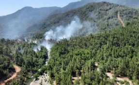 Muğla'da orman yangını: Karadan ve havadan müdahale ediliyor