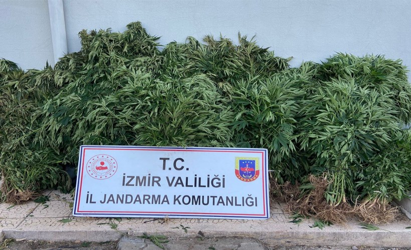 Jandarmadan uyuşturucu tacirlerine geçit yok