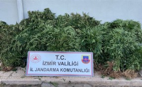 Jandarmadan uyuşturucu tacirlerine geçit yok