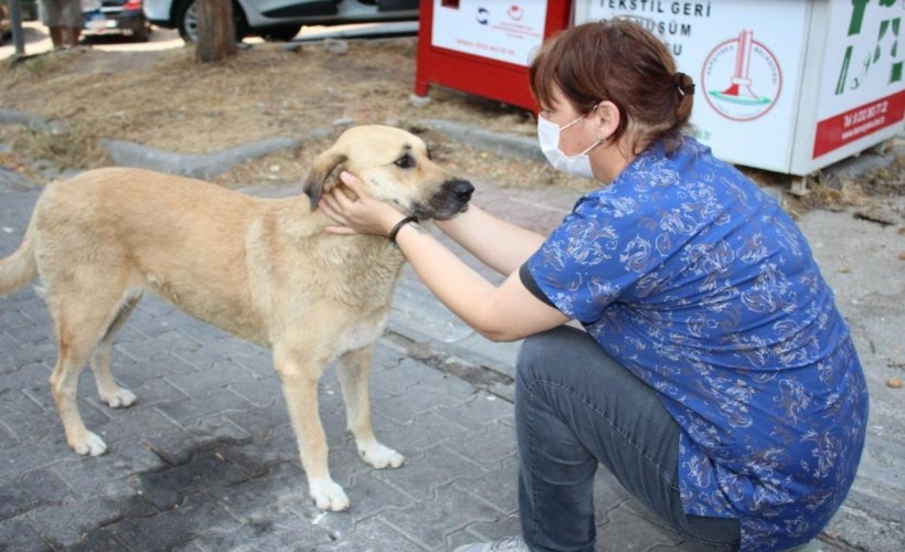 Karşıyaka Belediyesi, 8 ayda 24 bin can dosta hizmet sundu