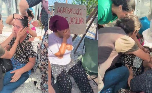 Agrobay işçilerini yerlerde sürükleyip gözaltına aldılar