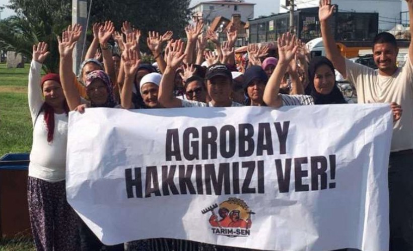 Agrobay işçisi kadınlar seslendi: Nerede kadın kolları...