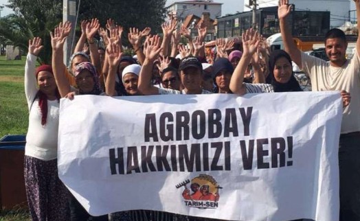 Agrobay işçisi kadınlar seslendi: Nerede kadın kolları...