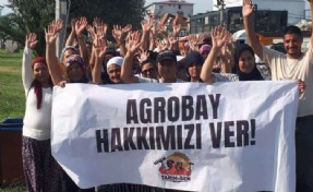 Agrobay işçisi kadınlar seslendi: Nerede kadın kolları...