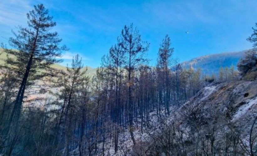 Alanya'daki orman yangını kontrol altına alındı