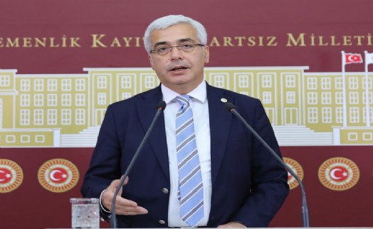 DP'li Uzun vize sorununu gündeme getirdi: Pasaportun itibarı, devletin itibarıdır