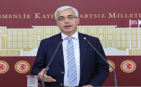 DP'li Uzun vize sorununu gündeme getirdi: Pasaportun itibarı, devletin itibarıdır
