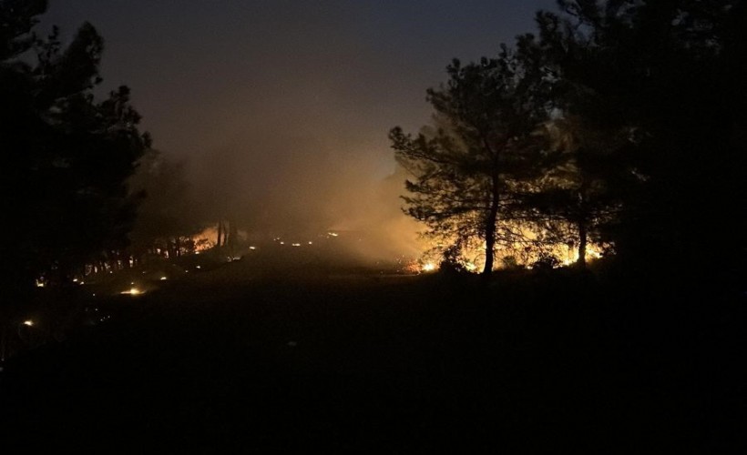 İzmir'de ormanlık alanda yangın