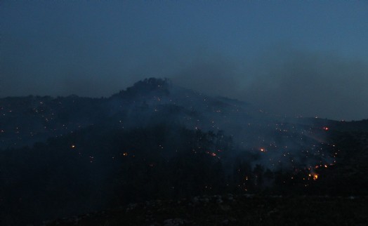 İzmir'deki orman yangınına müdahale sürüyor