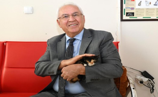 Karabağlar'da hayvan kısırlaştırmaları devam ediyor