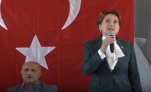 Meral Akşener, Atatürk Orman Çiftliği’nde gazilerle bir araya geldi