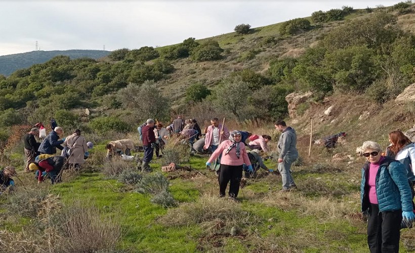 Bornova Belediyesi’nden arıcılara eğitim ve lavanta desteği