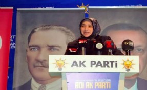 AK Partili Zengin'den yeni açıklama: İzmir ve Selçuk belediyeleri CHP'nin