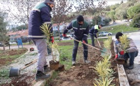 Bornova’da parklara yeni bitkiler dikiliyor