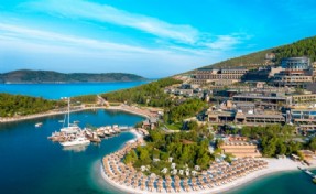 Yanan alana otel, ormanlık alana villa