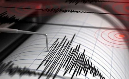 Adana sallanmıştı, Van'da da deprem!