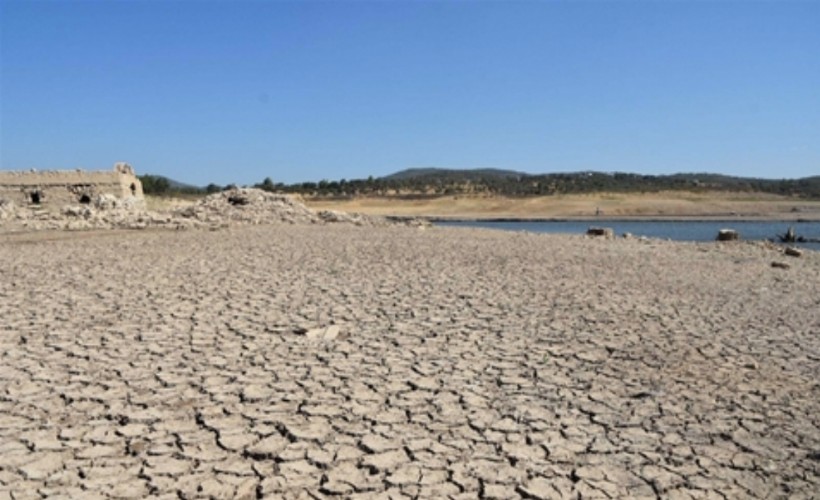 Bodrum'a kuraklık uyarısı: Çiftçilerin hazırlıklı olması gerekiyor