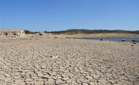 Bodrum'a kuraklık uyarısı: Çiftçilerin hazırlıklı olması gerekiyor