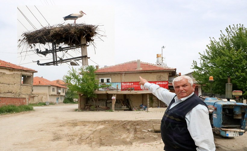 Beton direk 17 yıldır leyleklerin yuvası