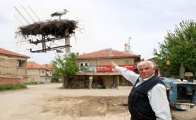 Beton direk 17 yıldır leyleklerin yuvası