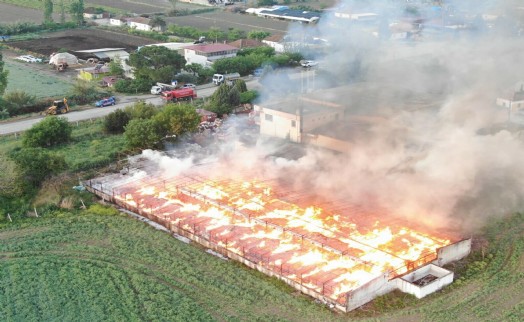 Depodaki feci yangın: 160 ton kozalak küle döndü!
