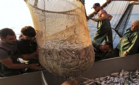 Ege Denizi'nde av yasağı başlıyor; uymayanlara 200 bin TL'ye varan para cezası var