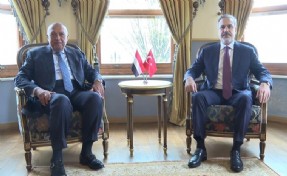 Hakan Fidan, Mısırlı mevkidaşıyla görüştü