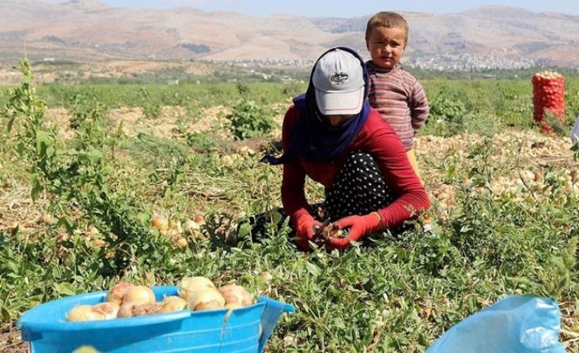 Mevsimlik tarım işçilerinin çalışma koşullarının iyileştirilmesine yönelik düzenleme