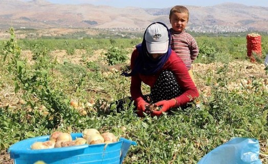 Mevsimlik tarım işçilerinin çalışma koşullarının iyileştirilmesine yönelik düzenleme