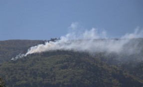 Uludağ eteklerinde orman yangını!