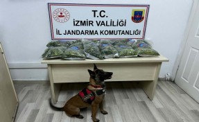 10 kilo uyuşturucuyu narkotik köpeği 'Aysar' buldu