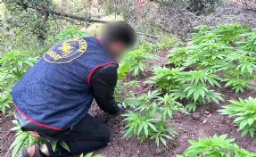 Akhisar'da bağ evine hintkeneviri operasyonu 1 gözaltı