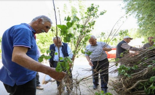 Buca Belediyesi’nden üreticiye fidan desteği