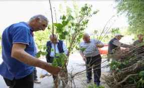 Buca Belediyesi’nden üreticiye fidan desteği