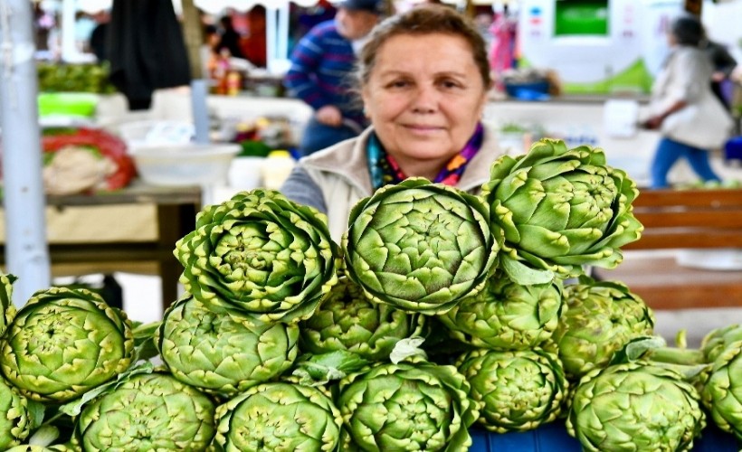 Urla Enginar Festivali için geri sayım başladı