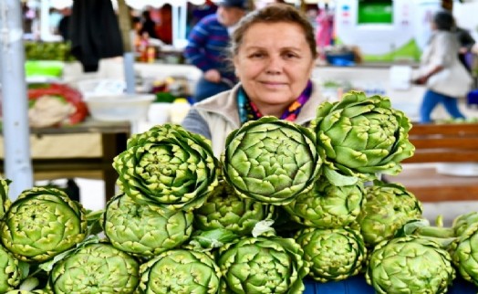 Urla Enginar Festivali için geri sayım başladı